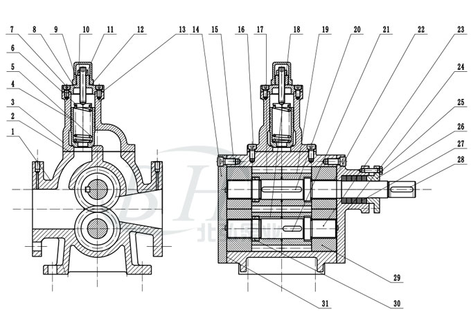 YCB20-0.6圓弧齒輪泵頭裝配圖